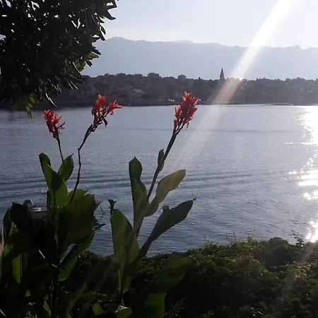 Beachfront House Pope Bed & Breakfast